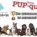 Winnaar PUP-quiz
